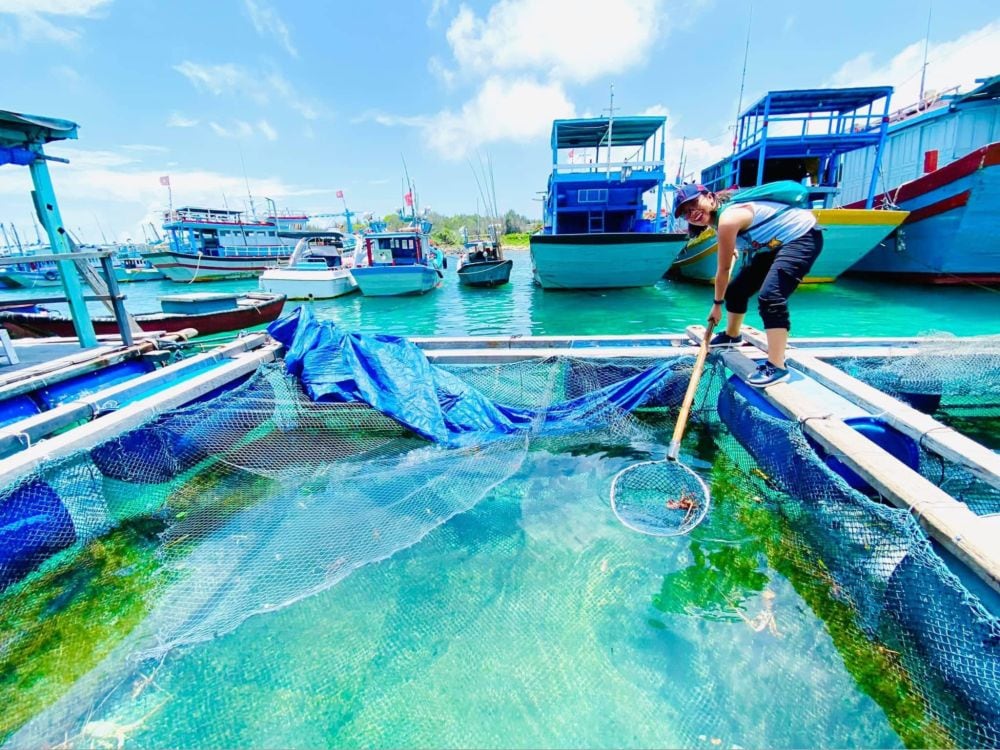 Bè hải sản nổi Phú Quý